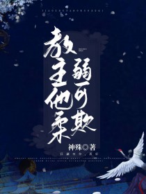 ����С˵:��������������