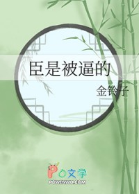 ����С˵:���Ǳ��Ƶ�