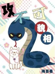 ����С˵:������ò��