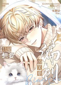 ����С˵:ֻ����Ҫ���ƵĹ�ϵ