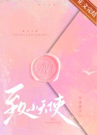 ����С˵:��С��ʹ