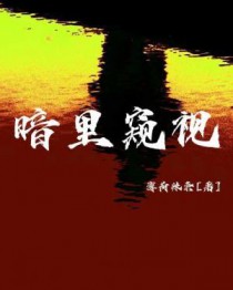 ����С˵:�������