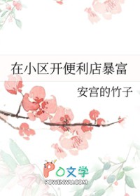 ����С˵:��С���������걩��