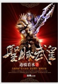 ����С˵:ʥ�����