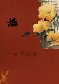 ����С˵:��һ��ѩ�޻�������h��