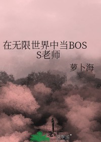 ����С˵:�����������е�BOSS��ʦ