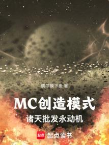 ����С˵:MC����ģʽ����������������