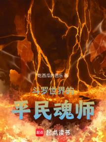 ����С˵:���������ƽ���ʦ