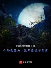 ����С˵:���ֻ���ɽ����ֻ��Գ���򵥣�