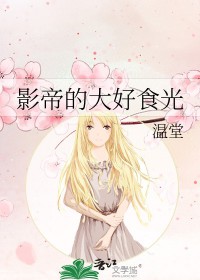 ����С˵:Ӱ�۵Ĵ��ʳ��