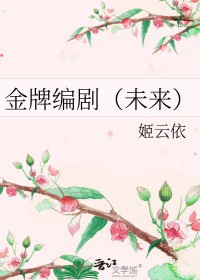 ����С˵:���Ʊ��