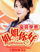 ����С˵:����ѧ�ܣ�������