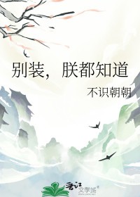 ����С˵:��װ���޶�֪��