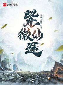 ����С˵:��΢��;