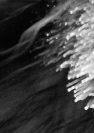 ����С˵:��ҹ��������