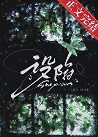 ����С˵:����