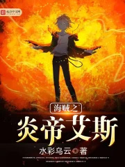 ����С˵:����֮�׵۰�˹