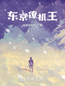 ����С˵:�����Ż���