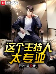 ����С˵:���������̫רҵ