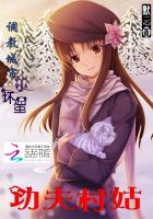 ����С˵:�����ã����̳���С����