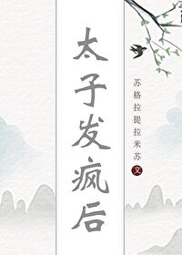 ����С˵:̫�ӷ����