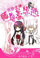 �ƻ�С˵:���˴���ʦ��������