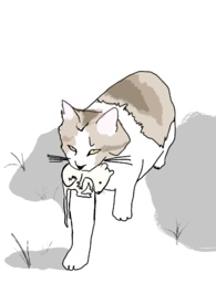 ����С˵:ʮ����������λ��У԰1V1��