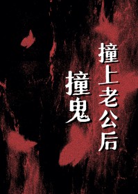 �ֲ�С˵:ײ��ײ���Ϲ���