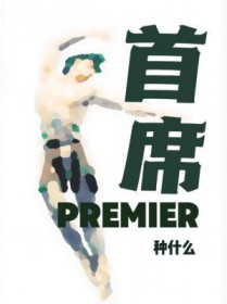 ����С˵:��ϯ