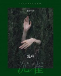 ����С˵:���ĳ�ȸ