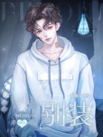 ����С˵:��װ