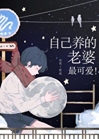 ����С˵:�Լ�����������ɰ�