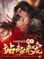 ����С˵:С�����޵�������վ������