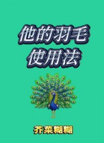 ����С˵:������ëʹ�÷�