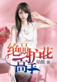 ����С˵:��Ʒ��������