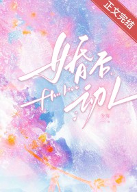 ����С˵:�����