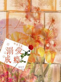 ����С˵:�簮���