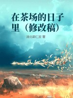 ����С˵:�ڲ賡��������