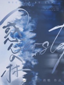 ����С˵:��������