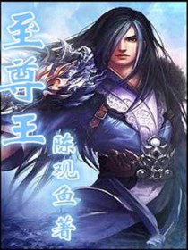 ����С˵:������