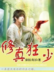 ����С˵:�������