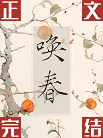 ����С˵:����