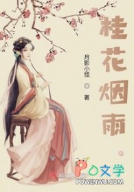 ����С˵:������