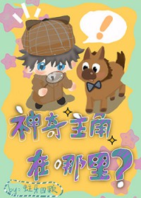 ����С˵:��������������