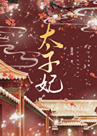 ����С˵:������̫���ļ��