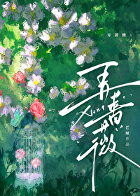 ����С˵:ŪǾޱ