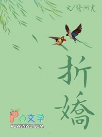 ����С˵:�۽�