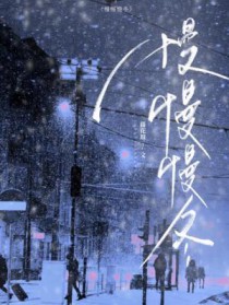 ����С˵:��������