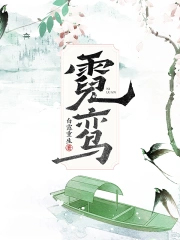 ����С˵:���