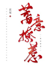 ����С˵:��������